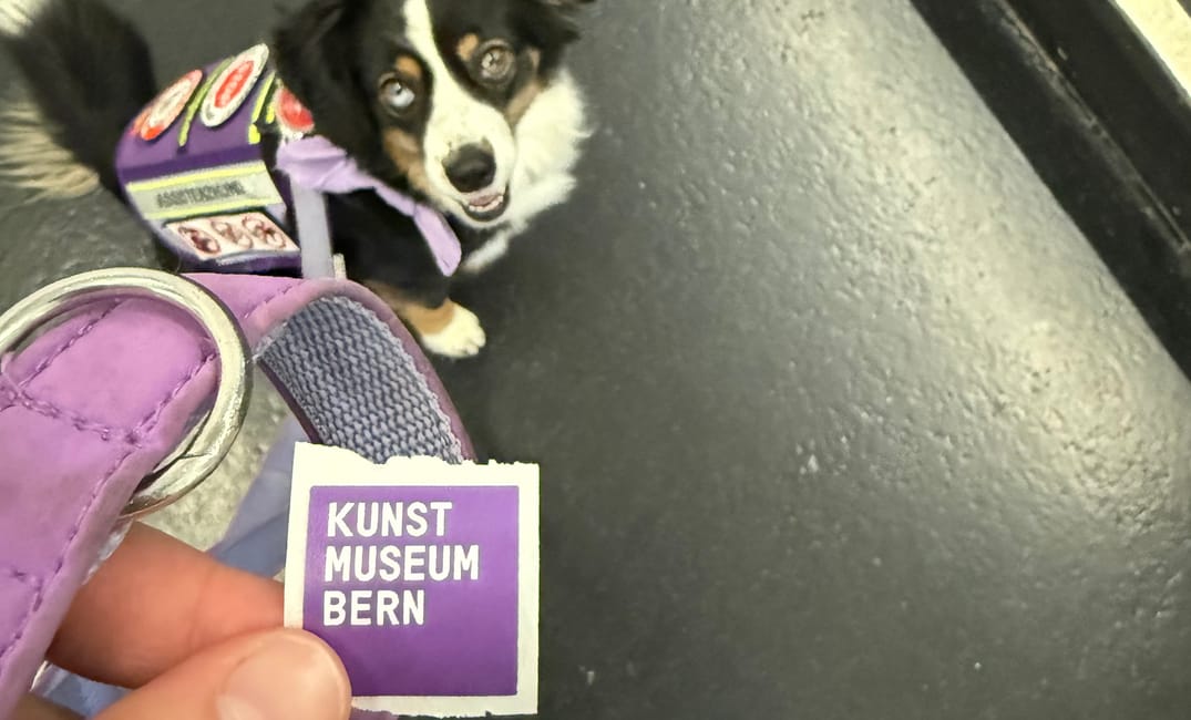 Ein entspannter Tag zwischen Kunst und Alltag