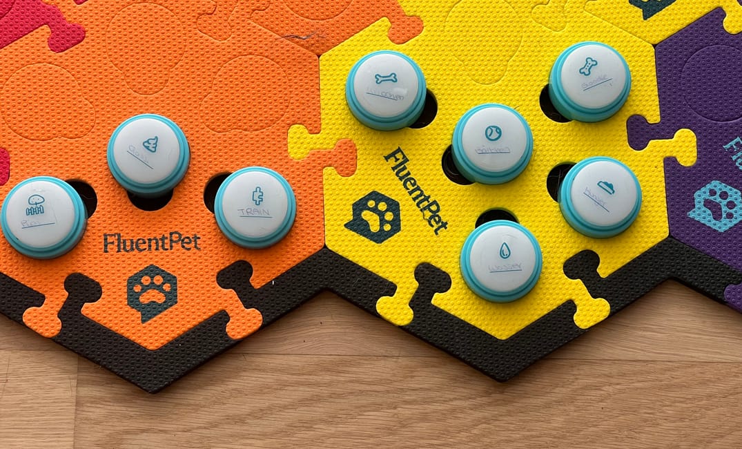 Umzugsupdate: Nicht auch noch die Buttons!