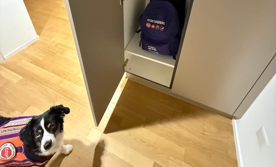 Wir sind umgezogen! Aber wie geht es Finchen?