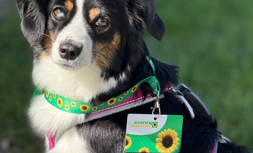 Das Sunflower Lanyard 🌻 – ein kleines Band mit großer Wirkung