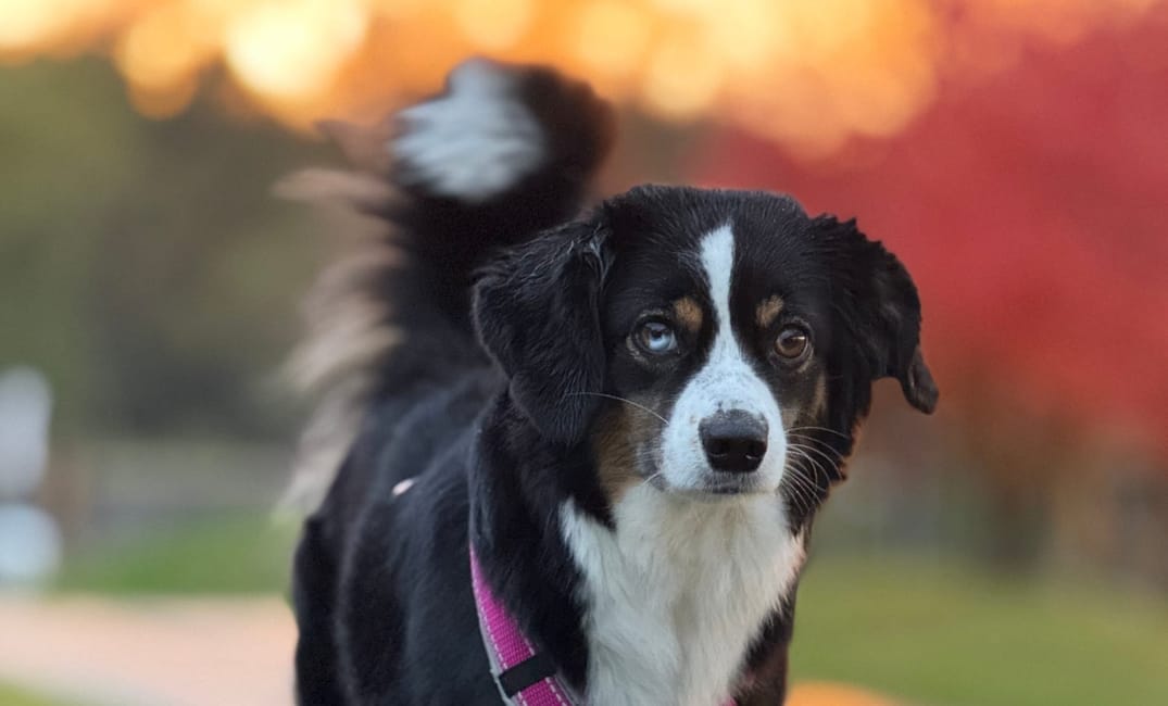 Umzugsupdate Nr.5 - Kein Internet