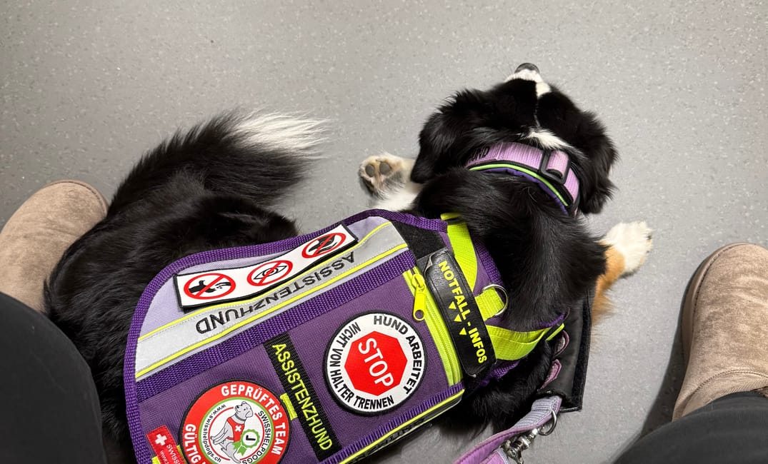 Preview: Wie Finchen mir zeigt, dass es ernst wird – ein Blick hinter die Kulissen unseres Alltags