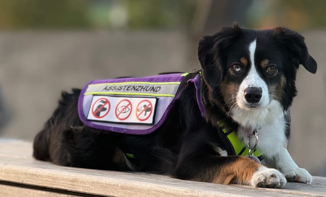 Von YouTube ins echte Leben: unser überraschendes Treffen mit einer Followerin