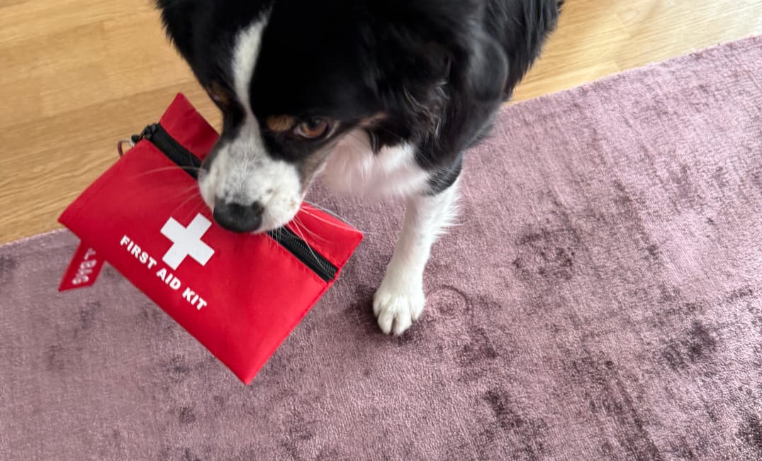 Welches Notfallmedikament nimmst du?