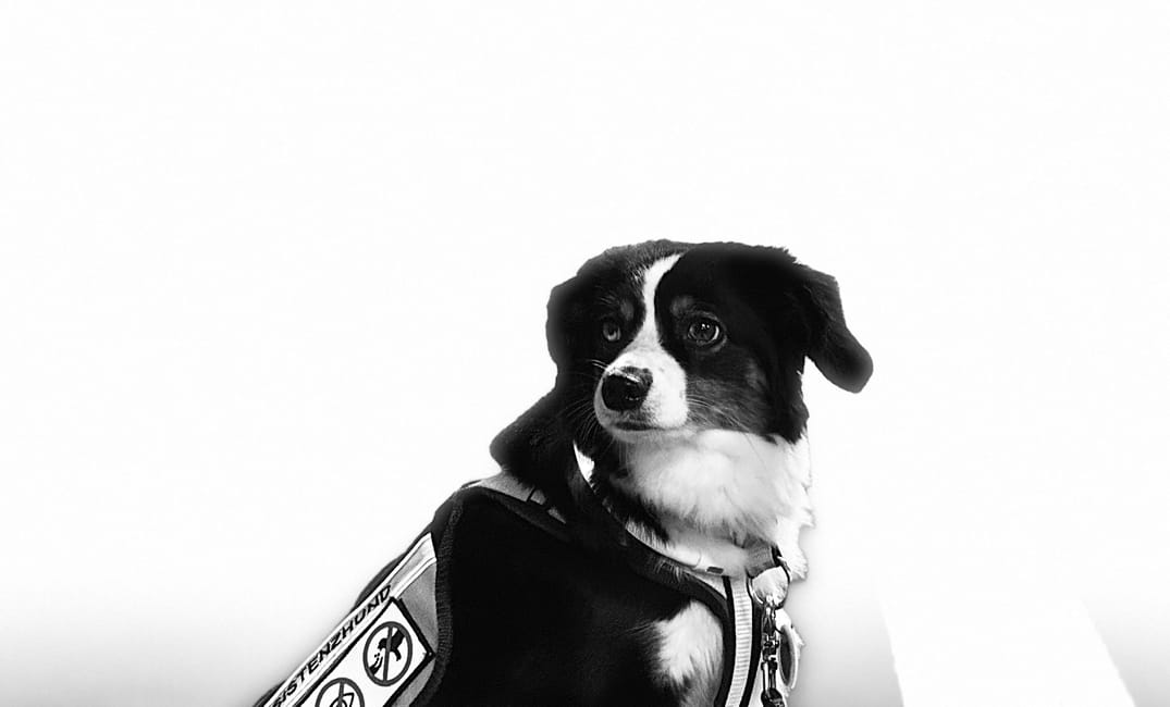 Magie in Schwarz und Weiss – Ein besonderer Abend am Bahnhof