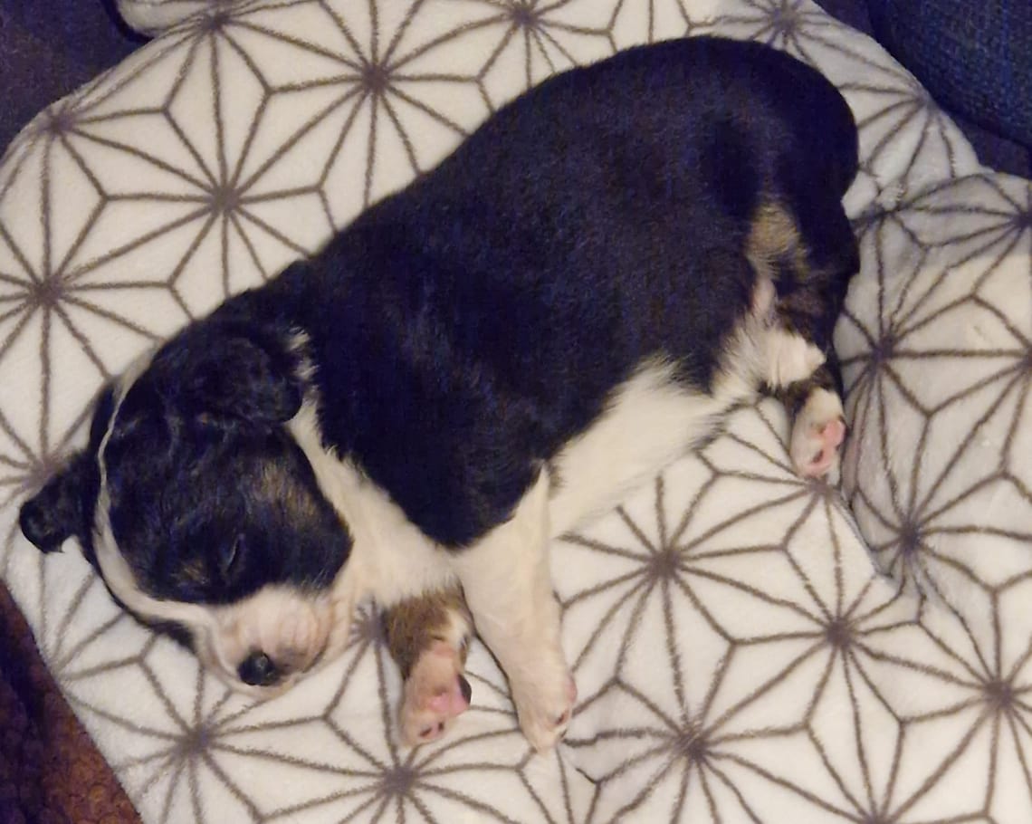 Throwback - Das erste Mal Finchen auf dem Arm