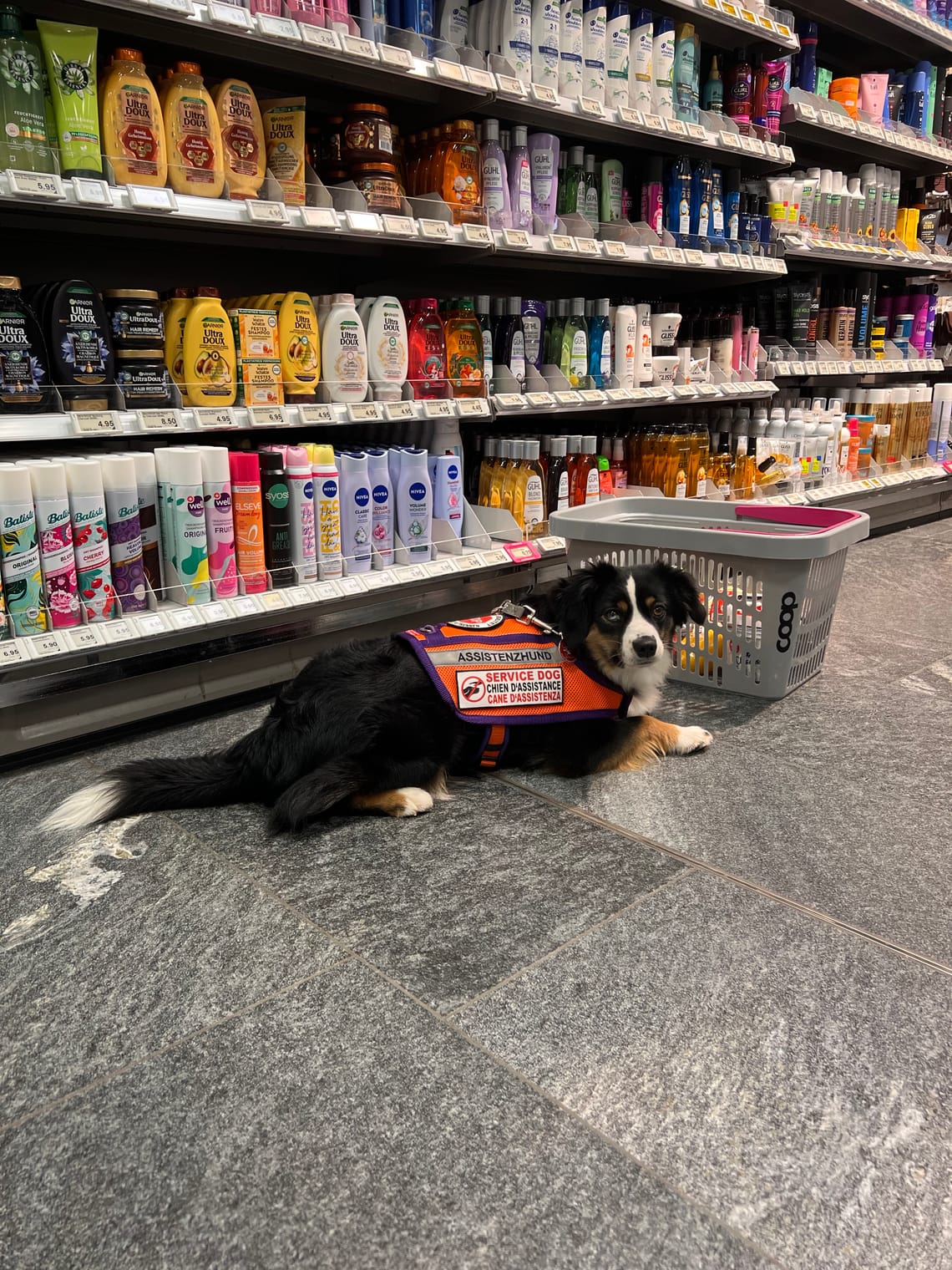Ladentraining – Wir bleiben cool, auch wenn etwas herunterfällt 😎