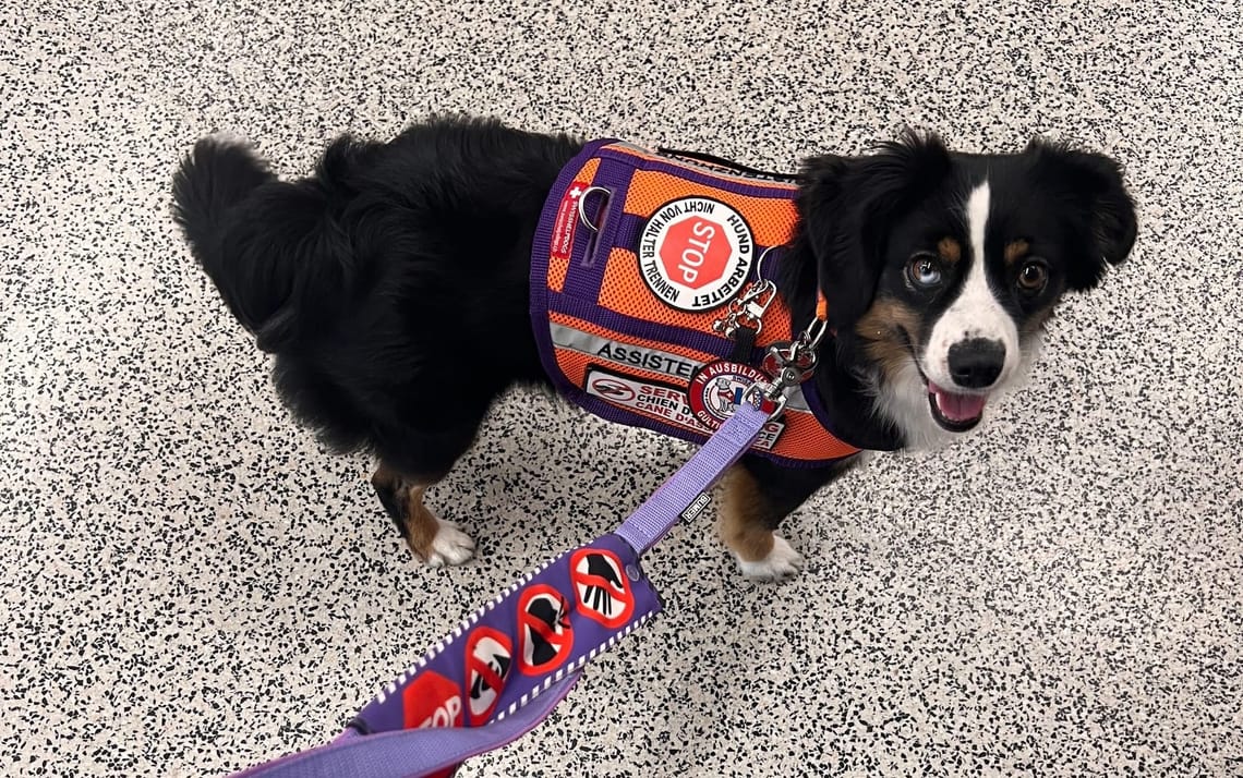 Aus dem Alltag eines Assistenzhunde-Teams: Der Hund darf NICHT ins Restaurant!