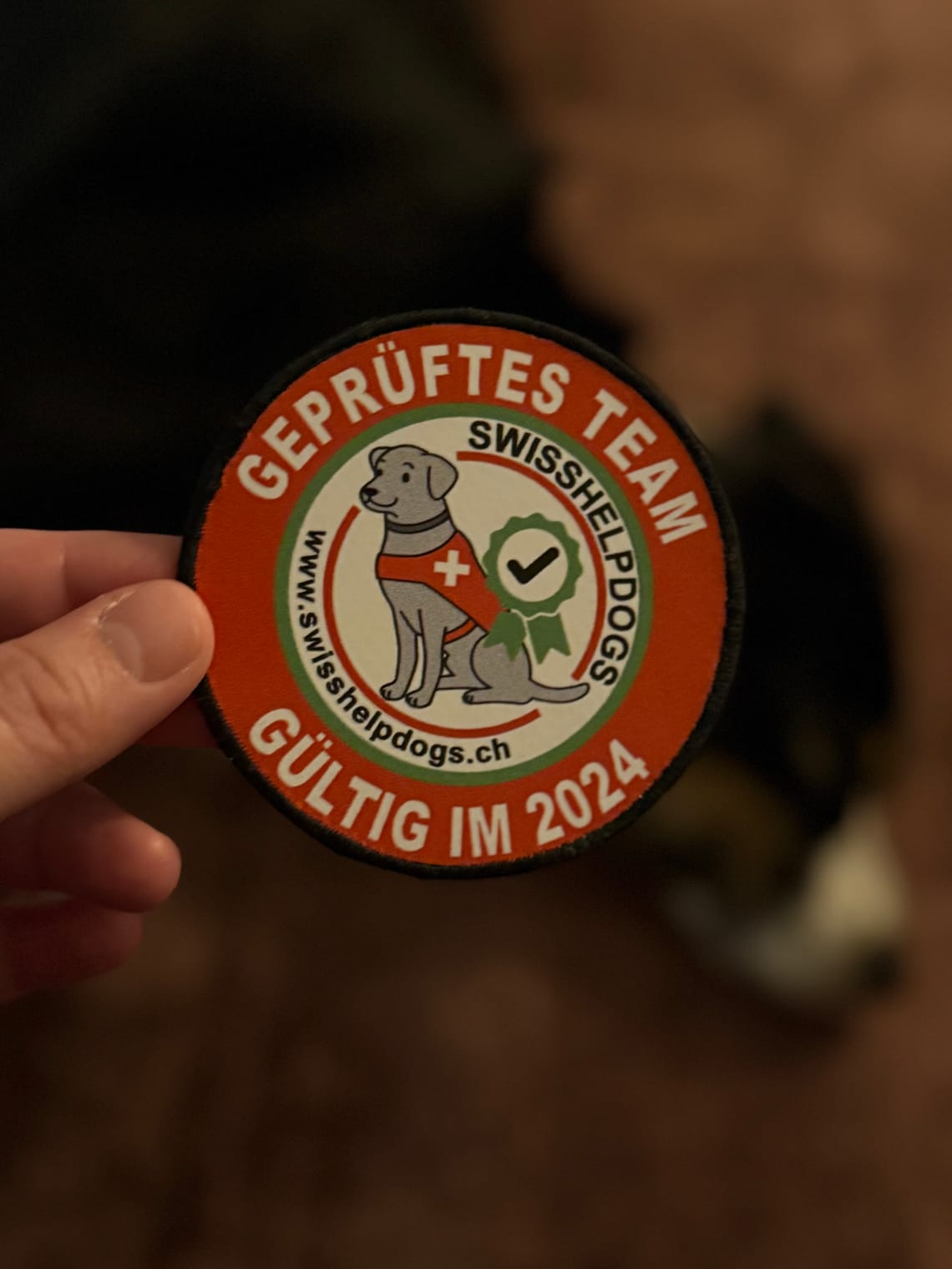 Wir sind ein zertifiziertes Assistenzhunde-Team! 🥳