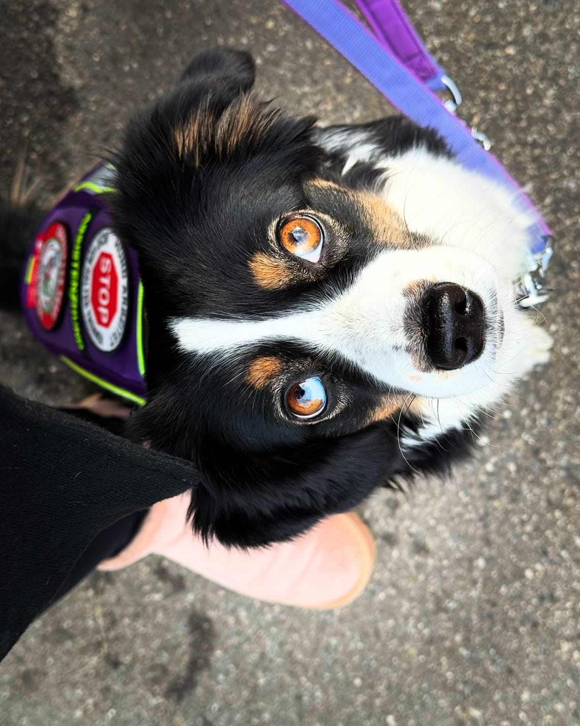 Ein Wochenrückblick mit Fini: Das waren die Highlights