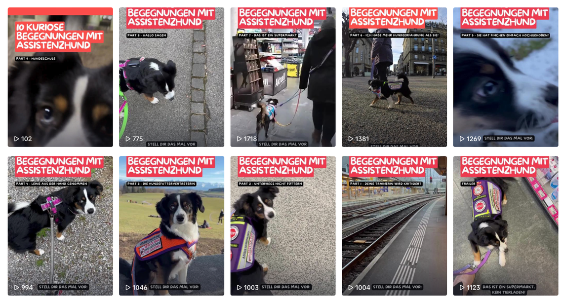 10 Kuriose Begegnungen mit Assistenzhund – Die erste Staffel ist da!