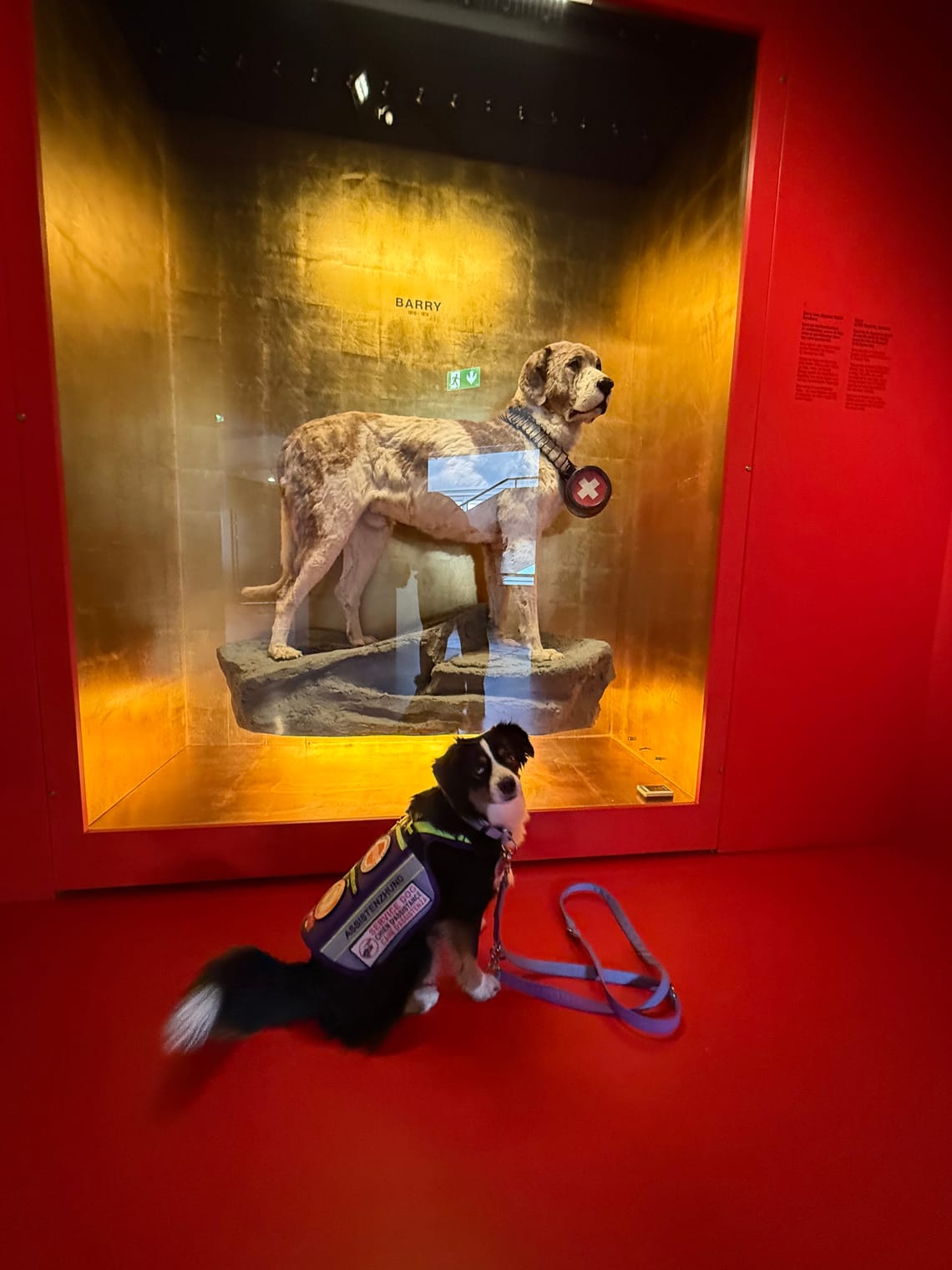 Unser Besuch im Naturhistorischen Museum Bern