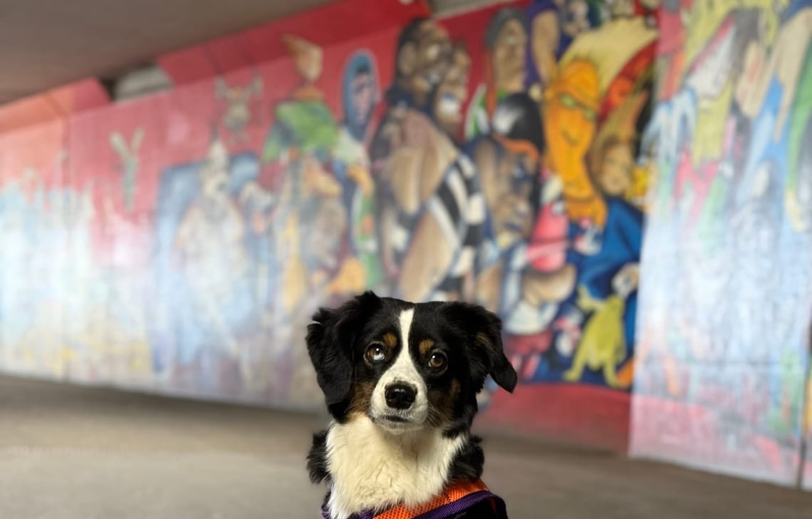 Die Kunst des Alltags: Was ich durch Fini und Graffiti über das Leben lerne