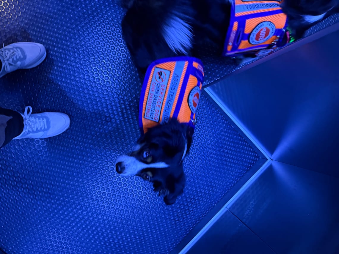 Assistenzleistung: Licht