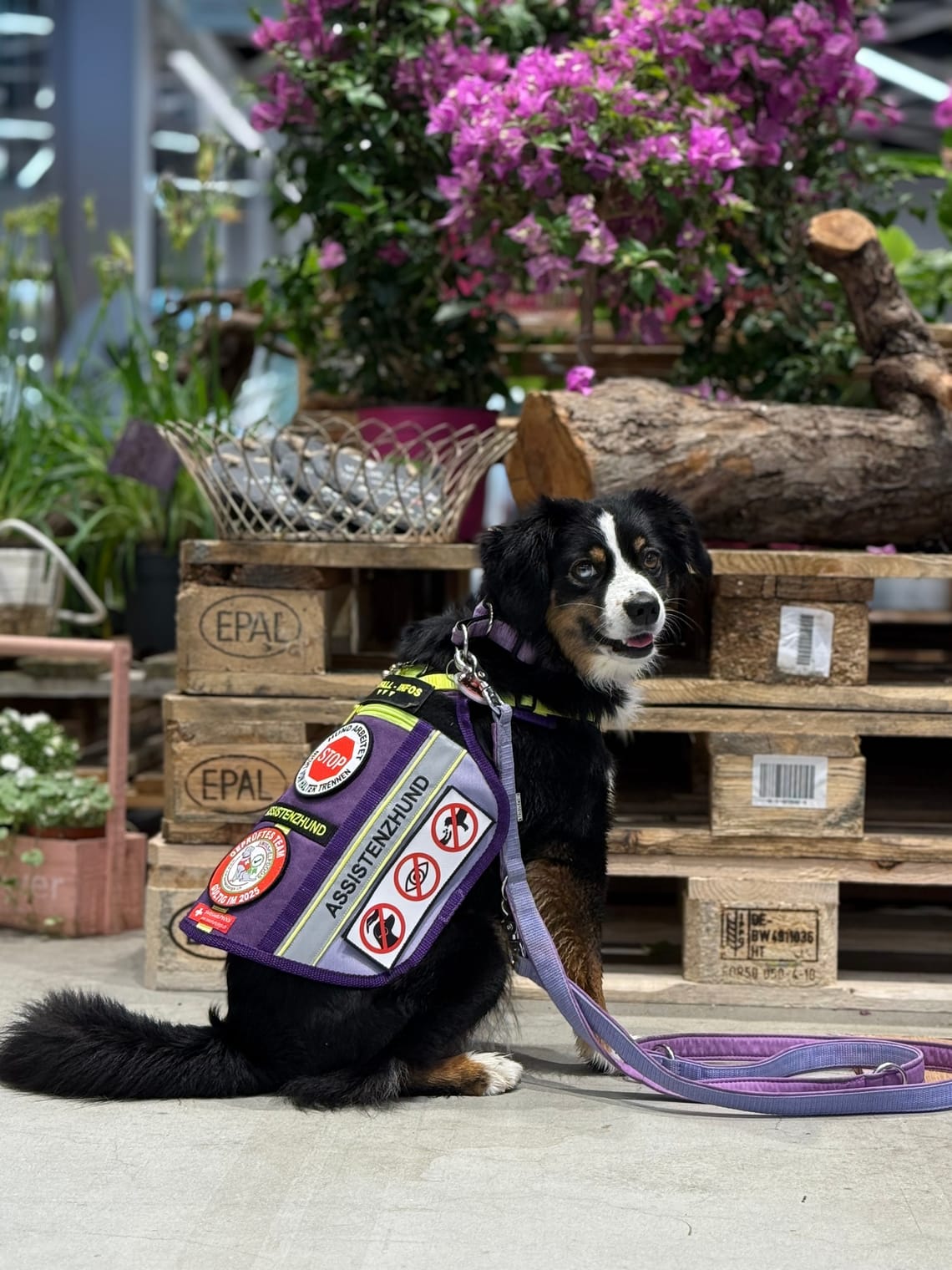 Sie hat gedacht ich bin blind..