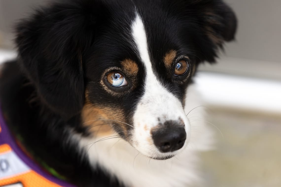 Unser erstes professionelles Fotoshooting