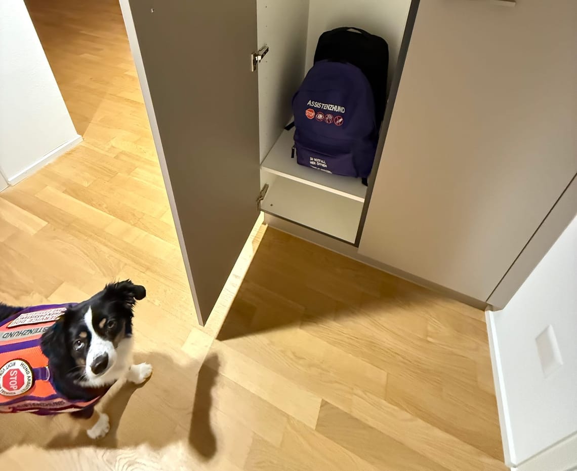 Wir sind umgezogen! Aber wie geht es Finchen?