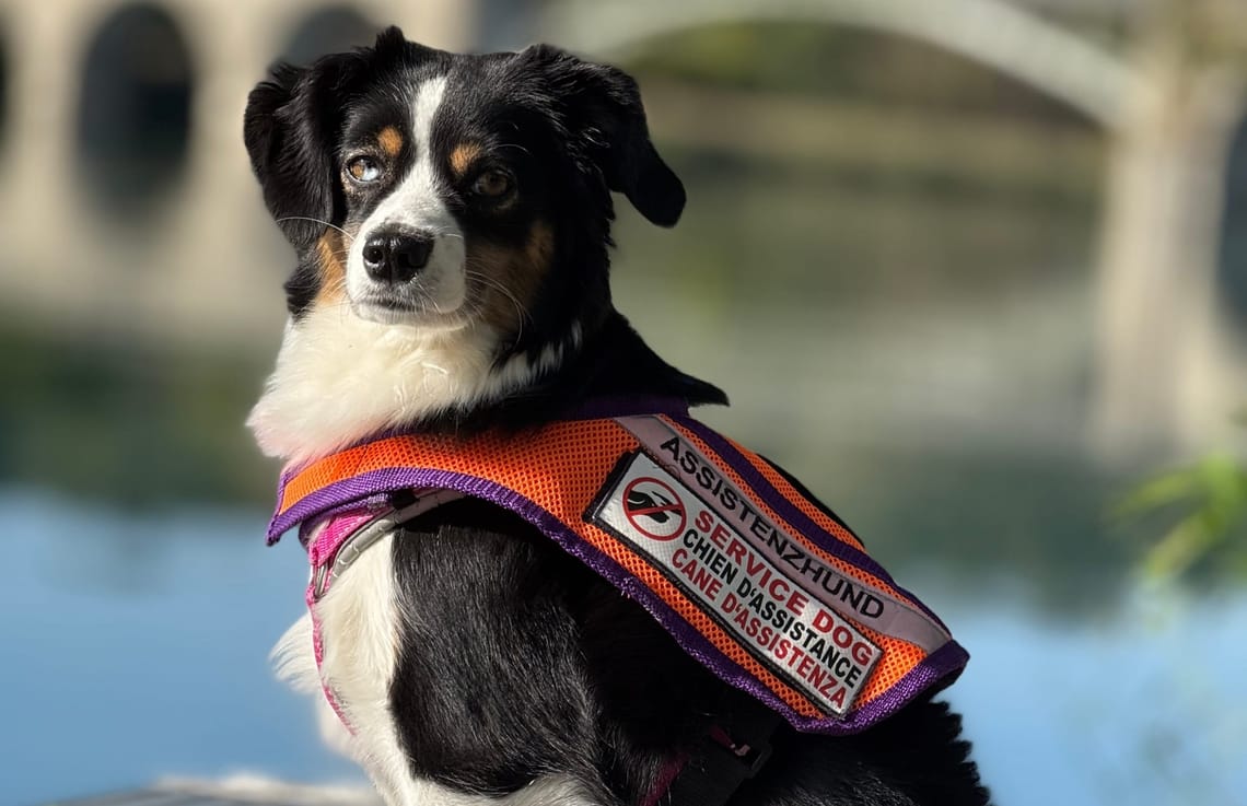 PREVIEW: Ausflug zum See