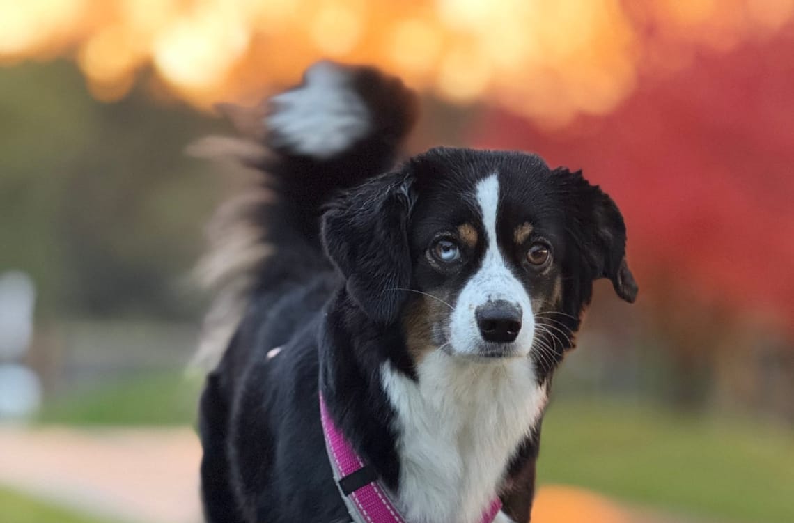Umzugsupdate Nr.5 - Kein Internet