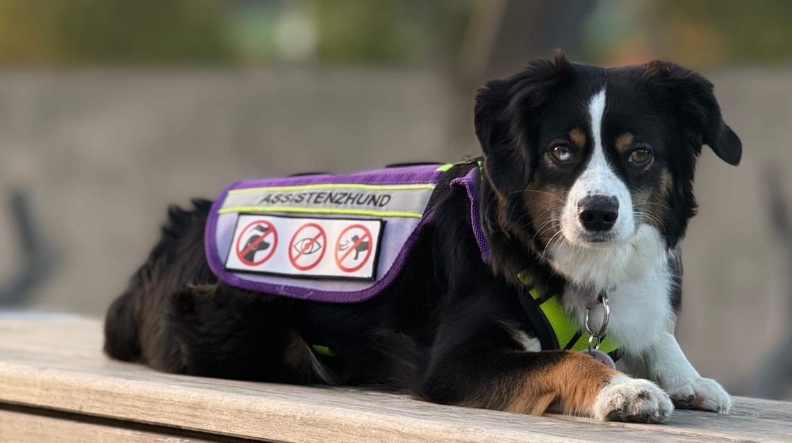 Von YouTube ins echte Leben: unser überraschendes Treffen mit einer Followerin