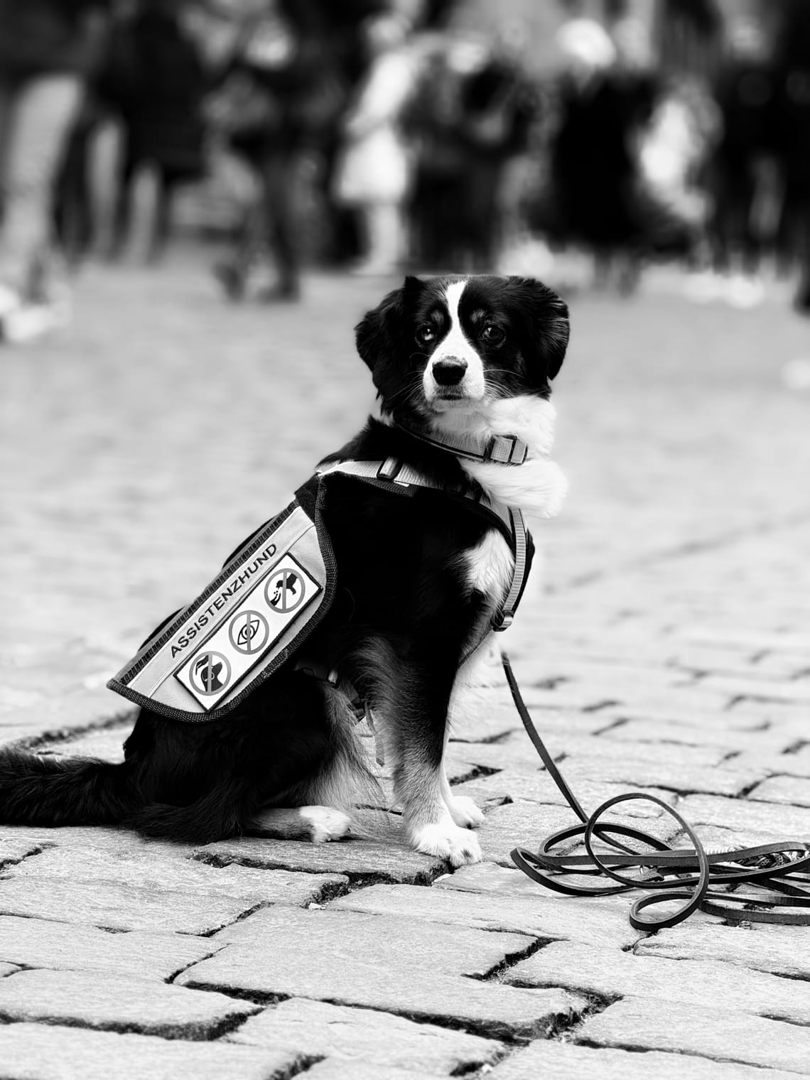 Unser Besuch im Alpinen Museum Bern – ein Erfahrungsbericht