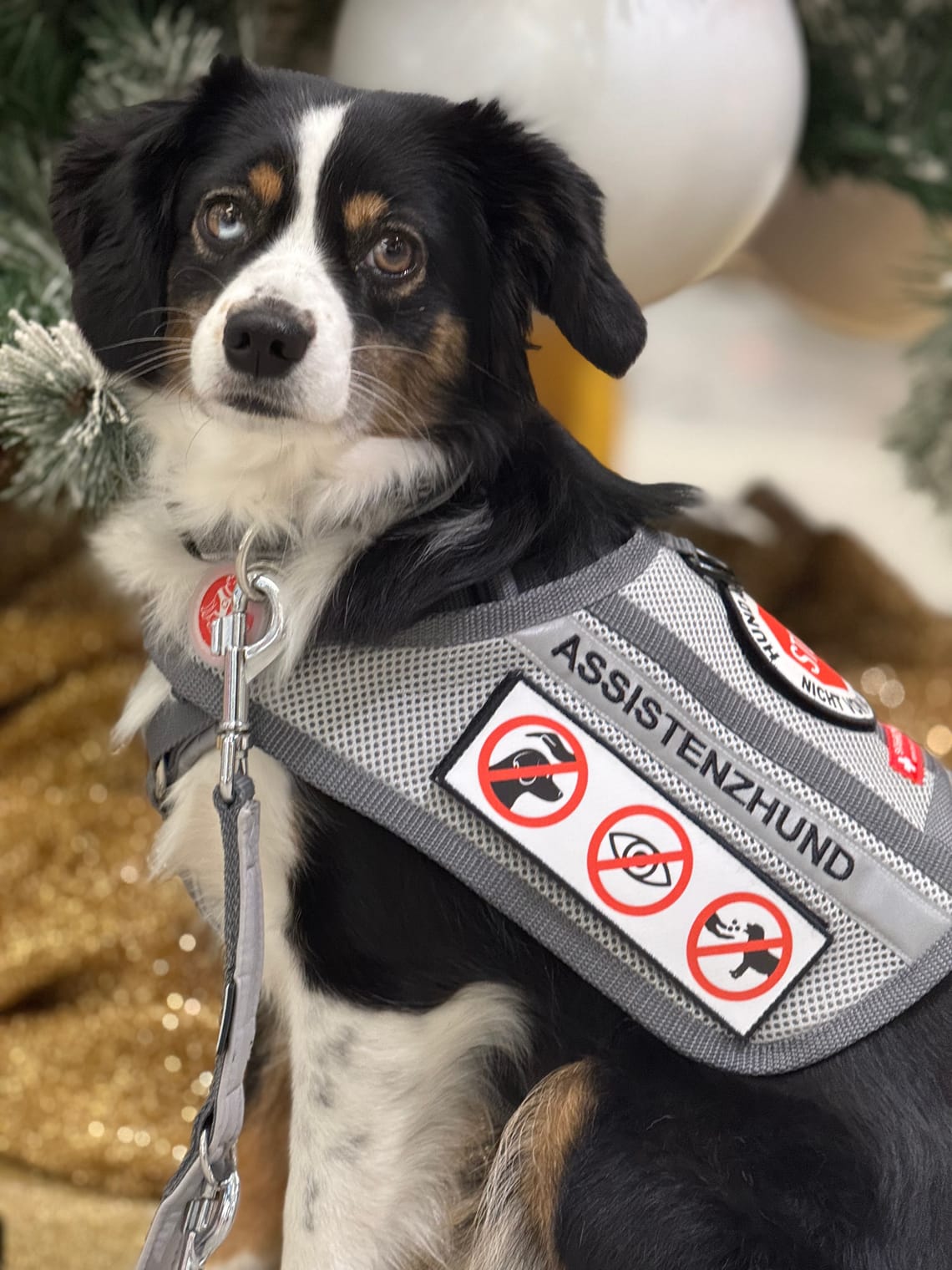 Ich mache mir gerade viele Gedanken über nächstes Jahr.