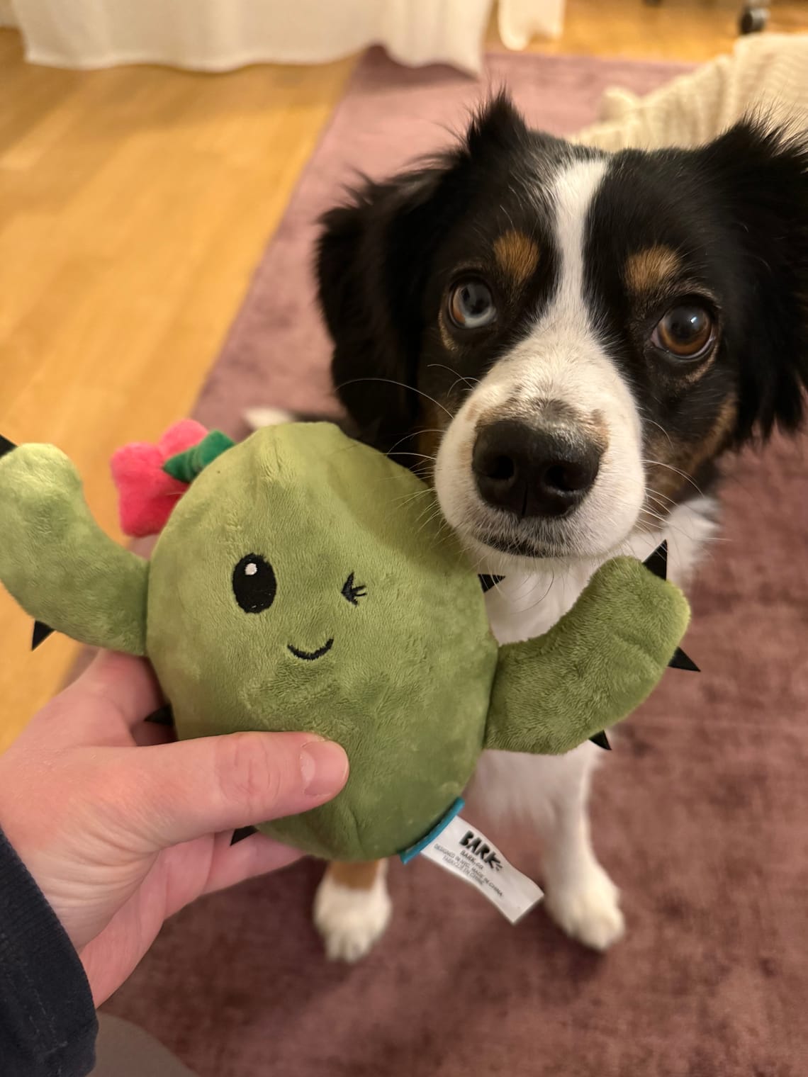 Das Einzige, was mir gerade hilft