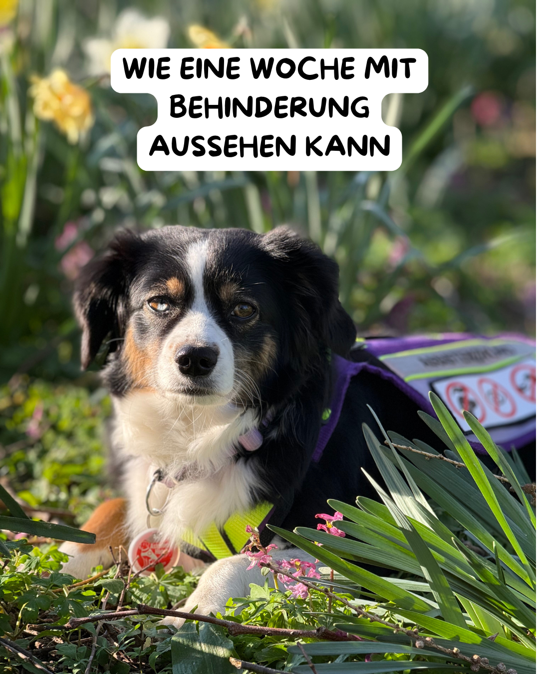 Wie eine Woche mit Behinderung aussehen kann