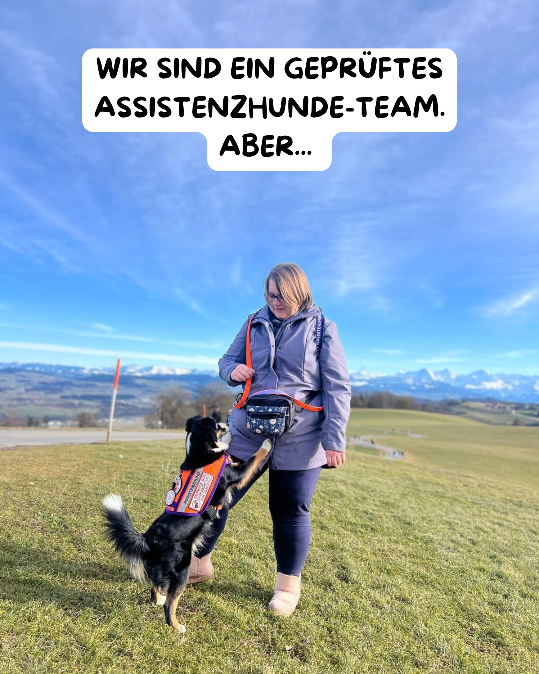 Wir sind ein geprüftes Assistenzhunde-Team, aber wir sind nicht perfekt...