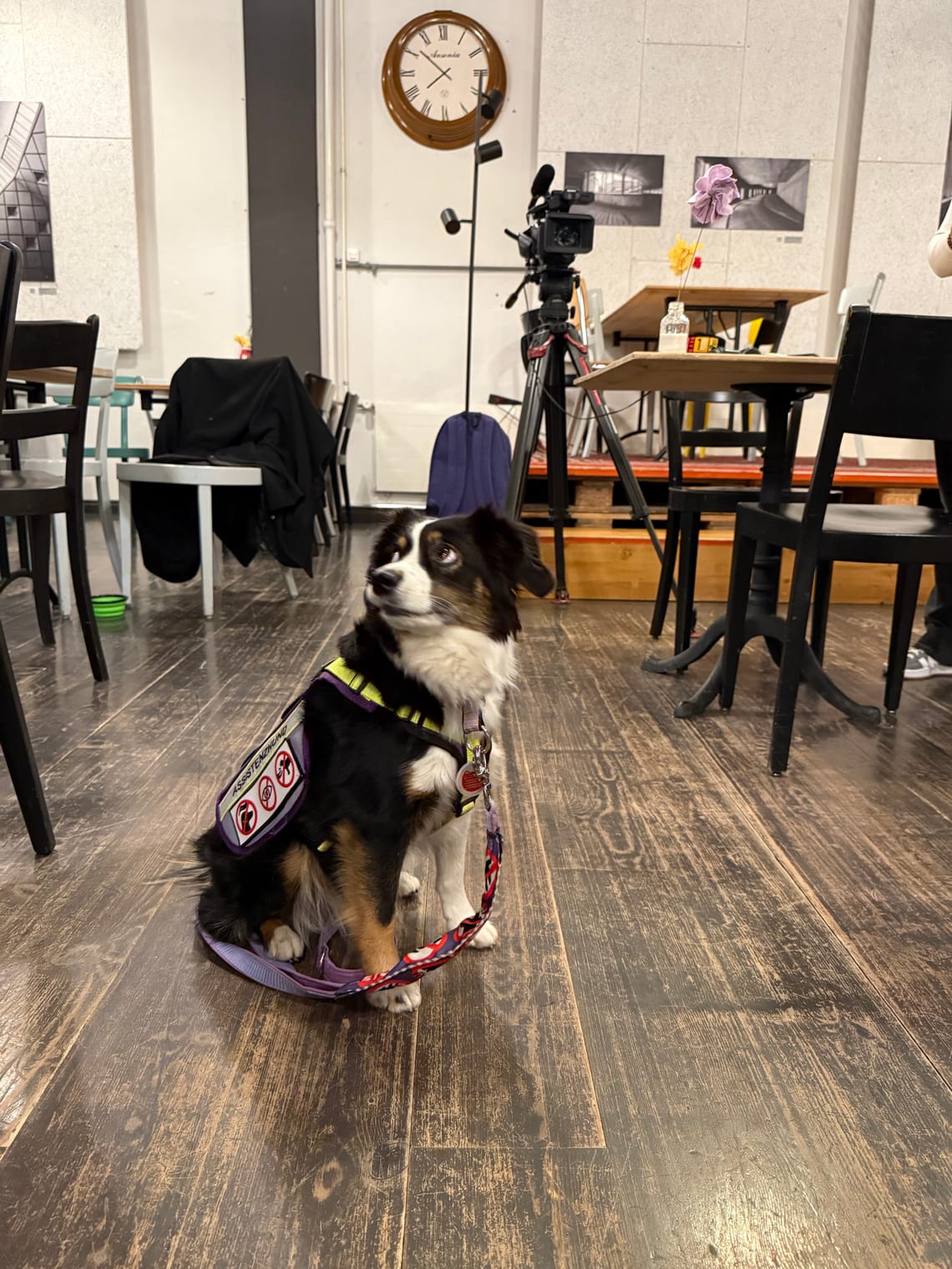 Drückt uns bitte die Daumen 🤞