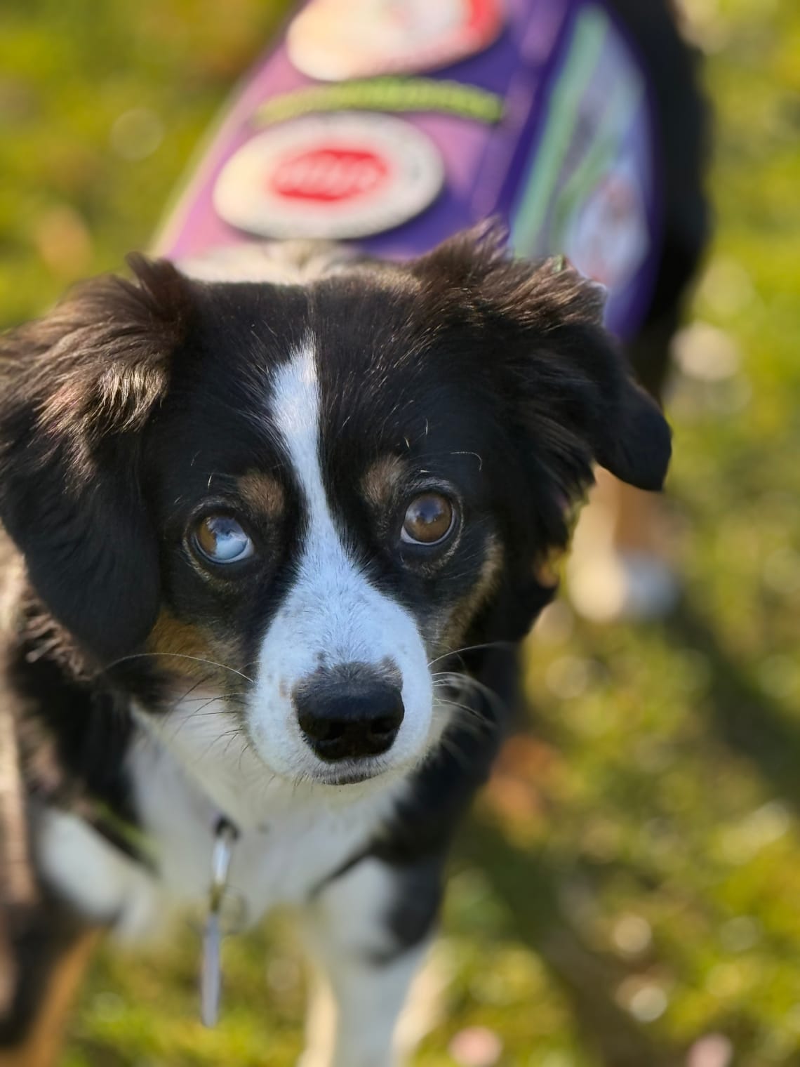 Darauf freuen wir uns gerade sehr…