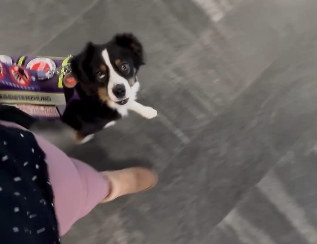 Ein "Tut nix" beim Einkaufen