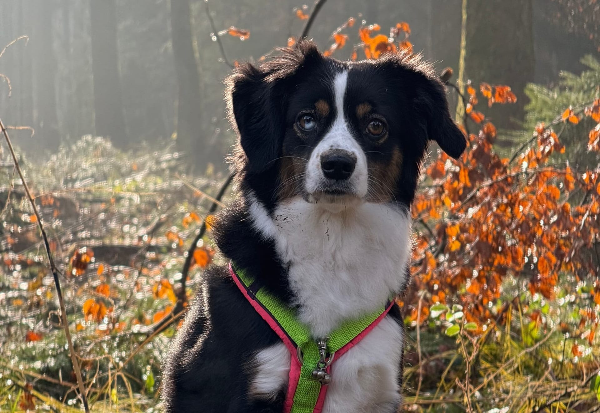 Wir wünschen euch einen schönen Tag