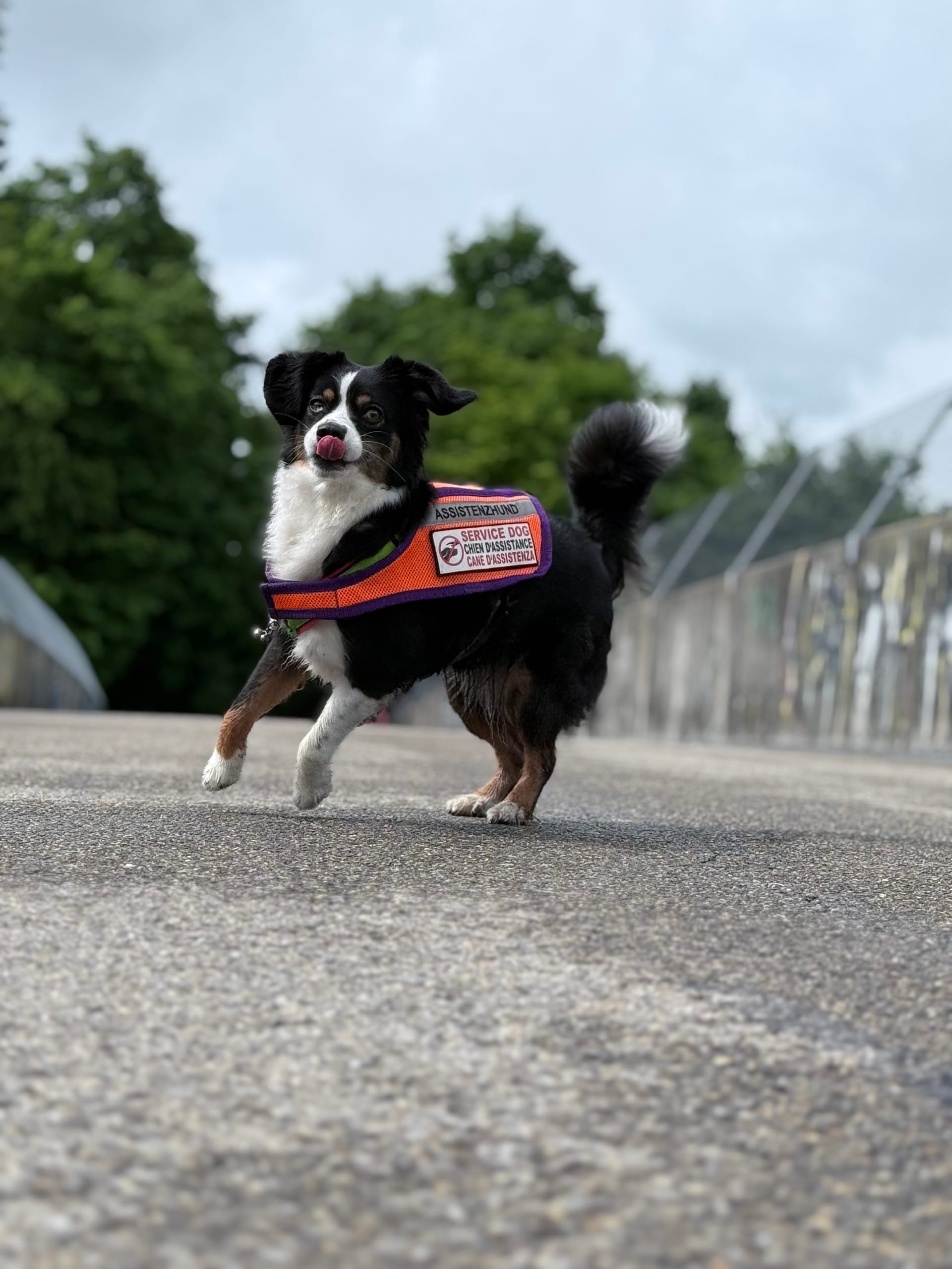 Mit Finchen an meiner Seite wird alles ein bisschen leichter