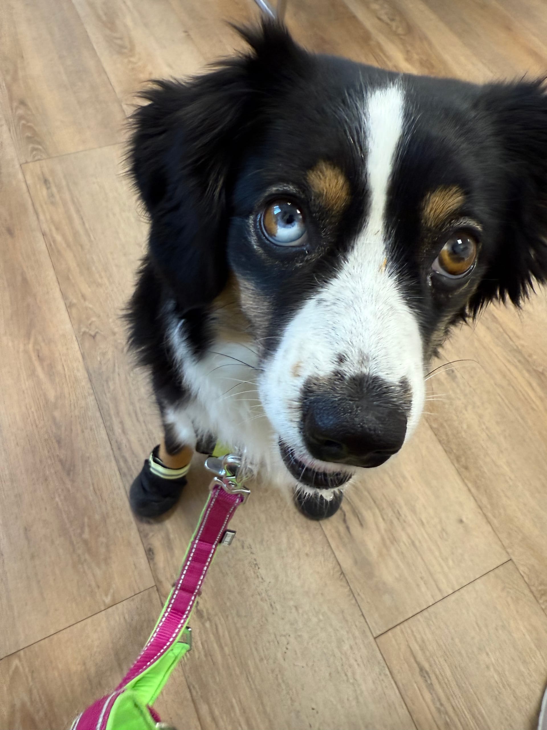 Ein zuckersüßes Video… aber soll ich es posten? (Spoiler: Für euch – ja!)