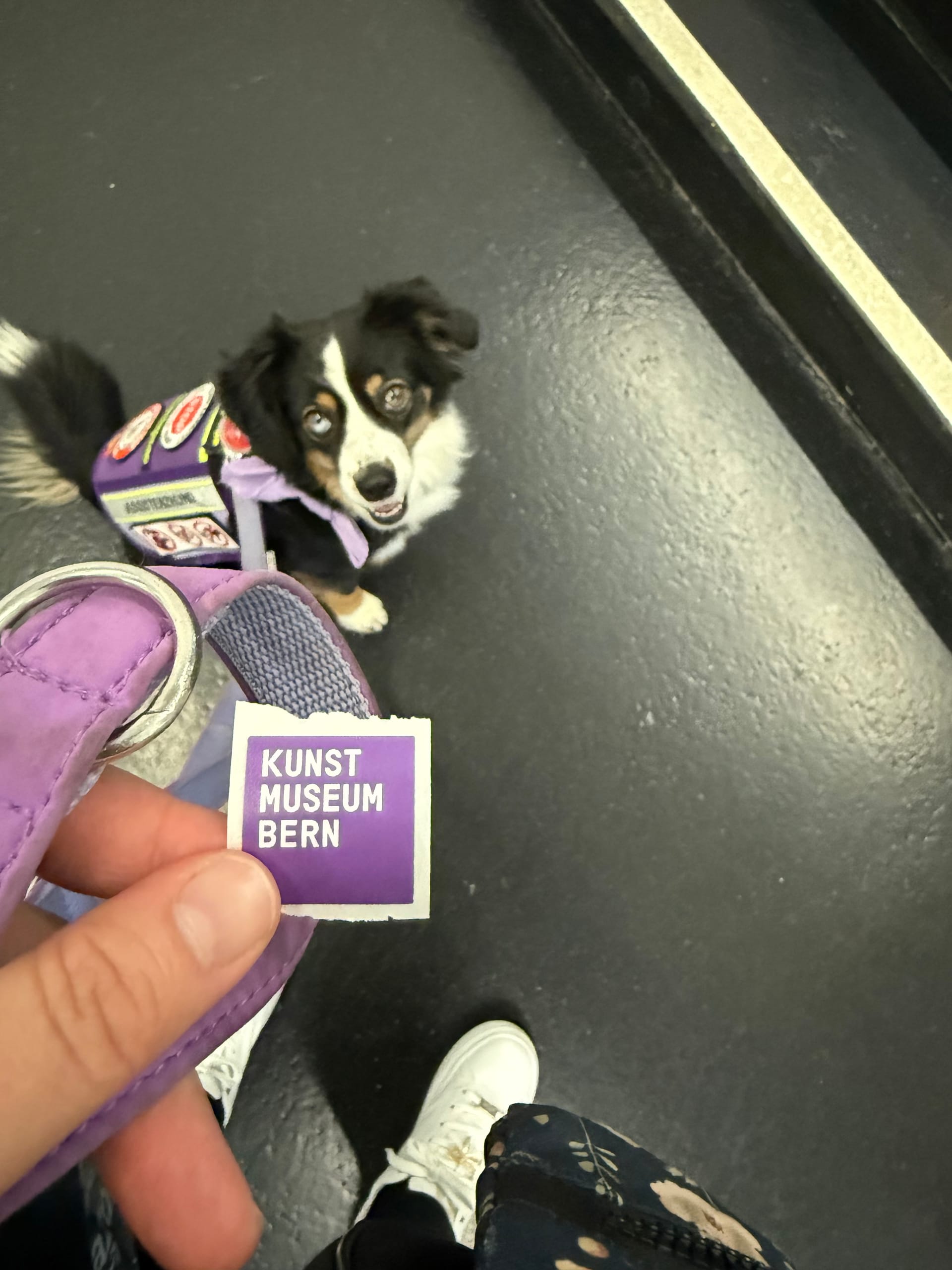 Ein entspannter Tag zwischen Kunst und Alltag