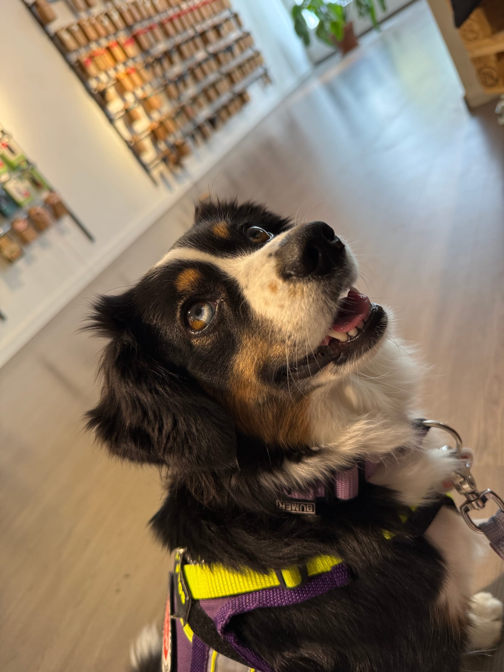 Sollte man die eigene Diagnose auf die Kenndecke schreiben – oder lieber nicht?