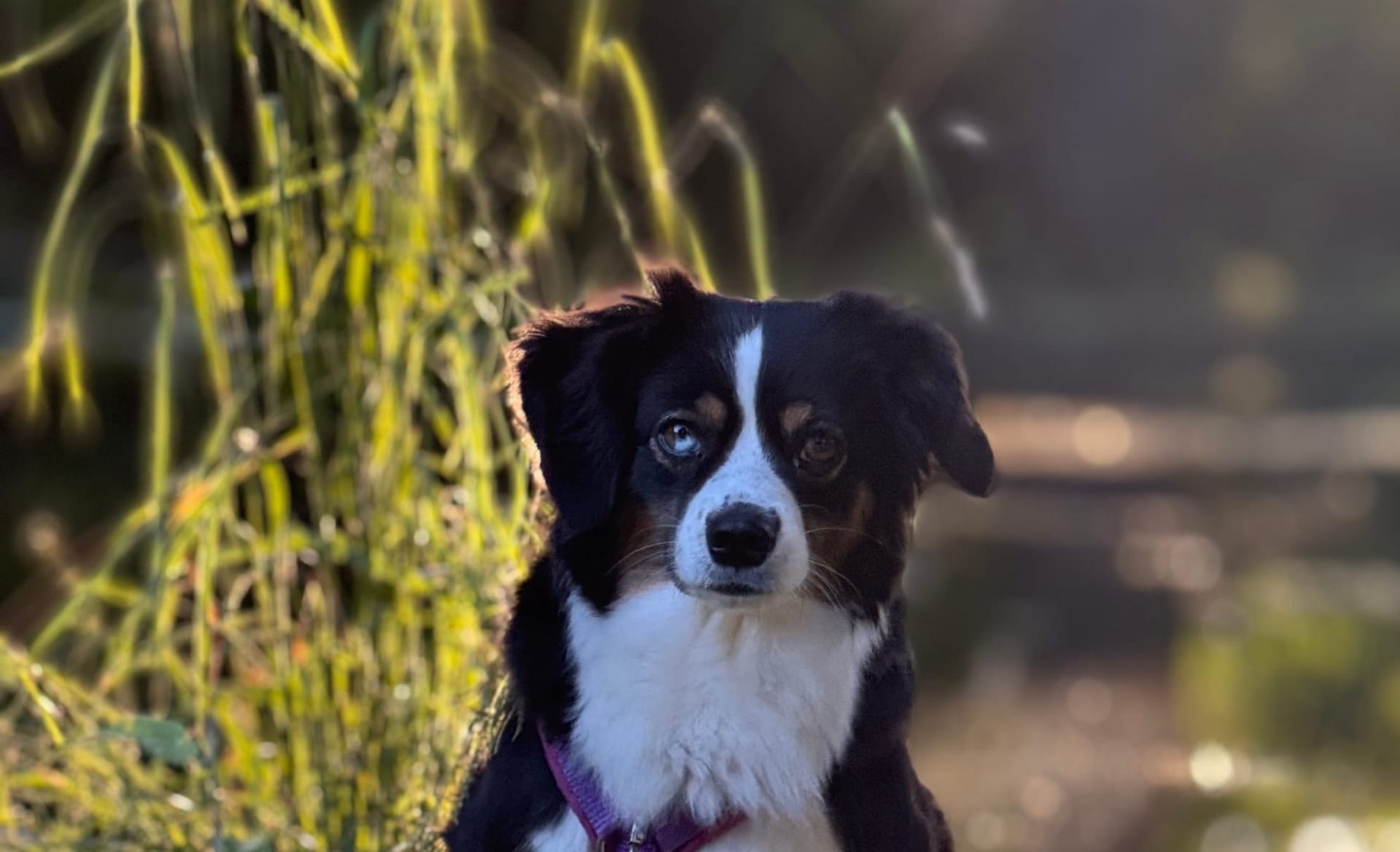 Wir warten ganz gespannt auf den Postboten
