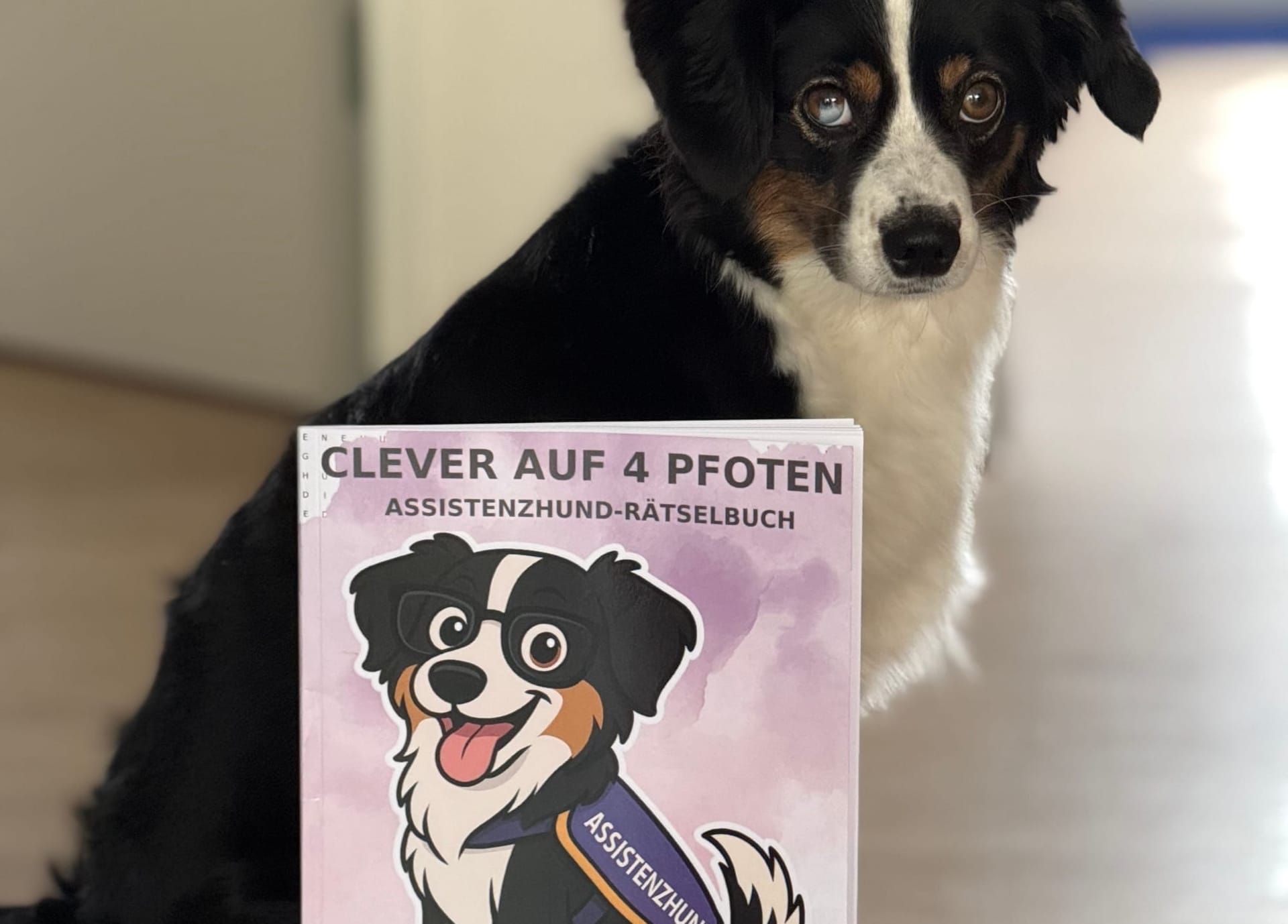 „Clever auf 4 Pfoten“ – Mein erstes Rätselbuch ist da! 🐾🧠