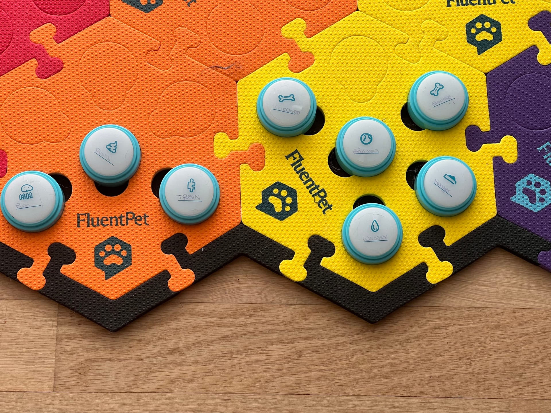 Umzugsupdate: Nicht auch noch die Buttons!