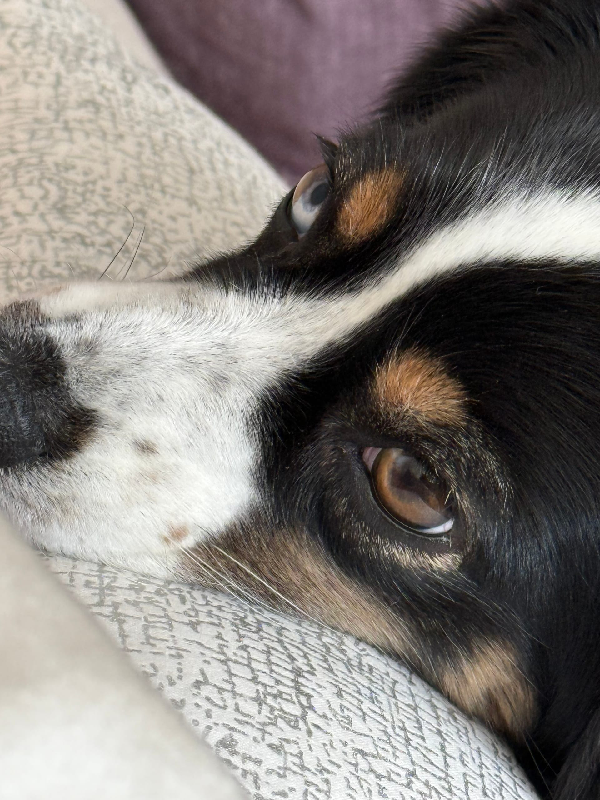 Wenn der Rauchmelder piept – und die Feuerwehr direkt vor der Tür steht 🚒