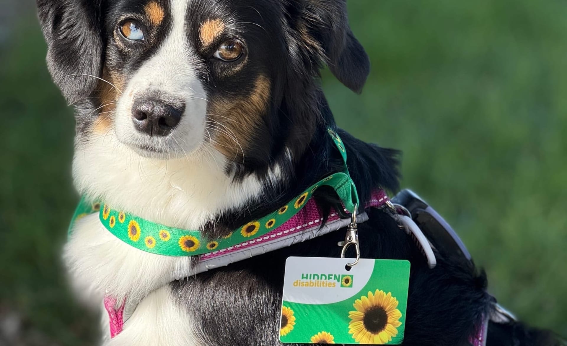 Das Sunflower Lanyard 🌻 – ein kleines Band mit großer Wirkung