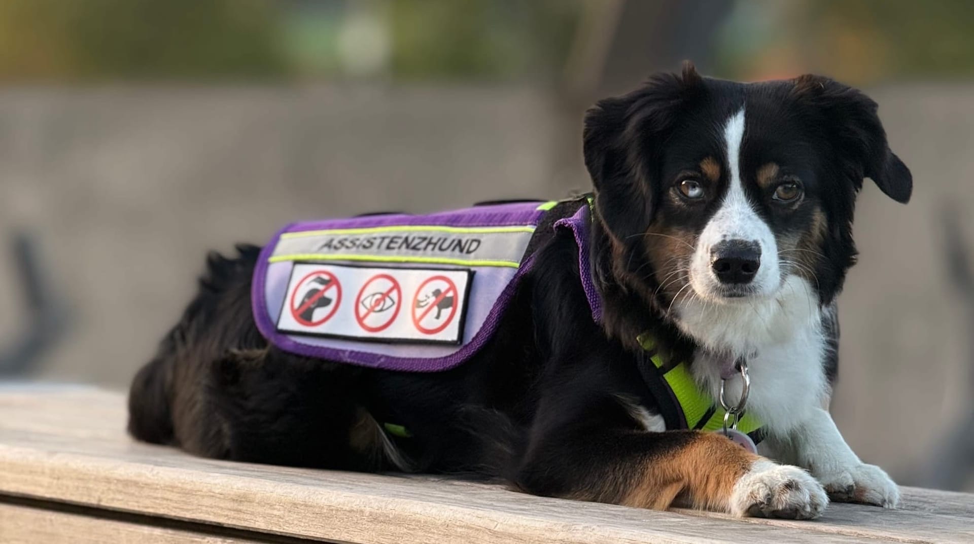 Von YouTube ins echte Leben: unser überraschendes Treffen mit einer Followerin