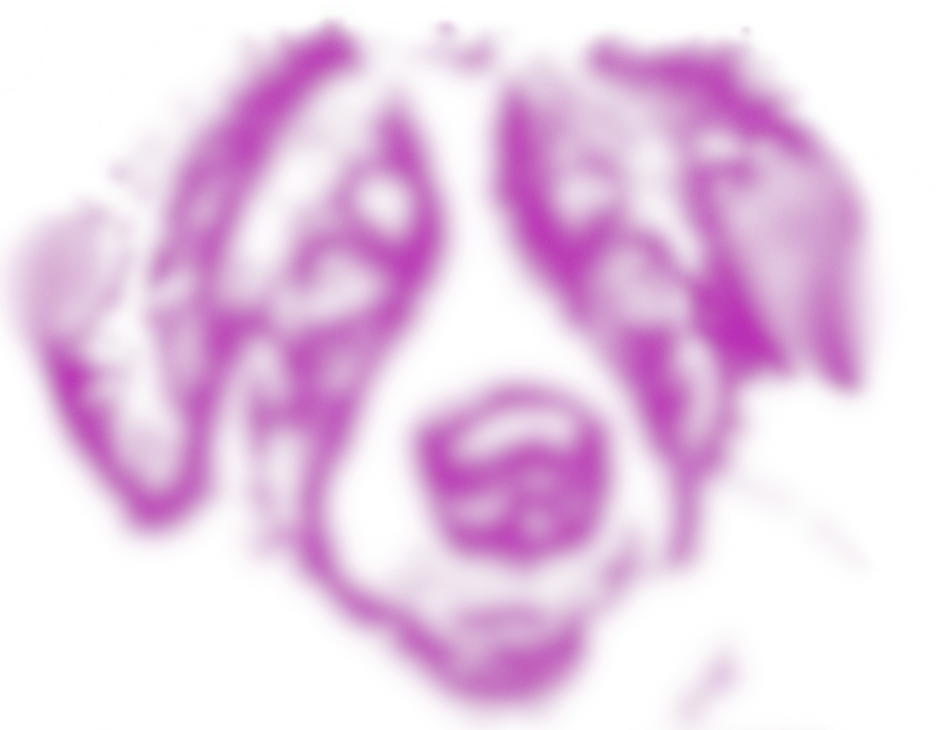 WOW 🤩 Fini wurde das erste Mal gezeichnet!