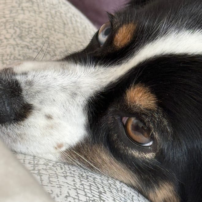 Bild von: Wenn der Rauchmelder piept – und die Feuerwehr direkt vor der Tür steht 🚒