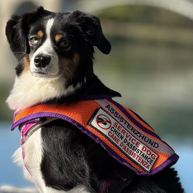 Bild von: PREVIEW: Ausflug zum See