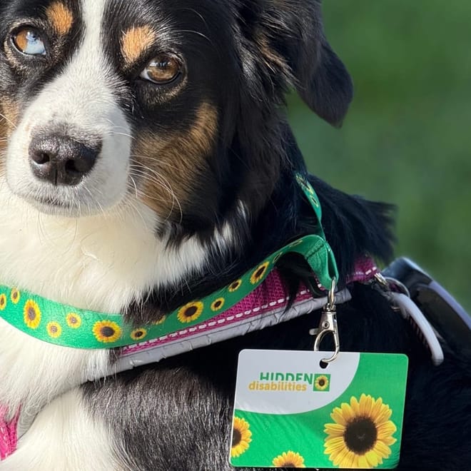 Bild von: Das Sunflower Lanyard 🌻 – ein kleines Band mit großer Wirkung