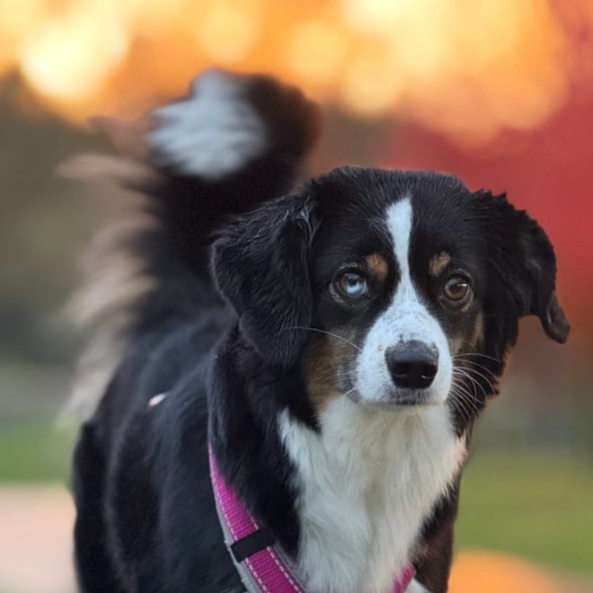 Bild von: Umzugsupdate Nr.5 - Kein Internet