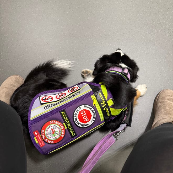 Bild von: Preview: Wie Finchen mir zeigt, dass es ernst wird – ein Blick hinter die Kulissen unseres Alltags