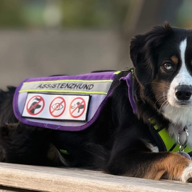 Bild von: Von YouTube ins echte Leben: unser überraschendes Treffen mit einer Followerin